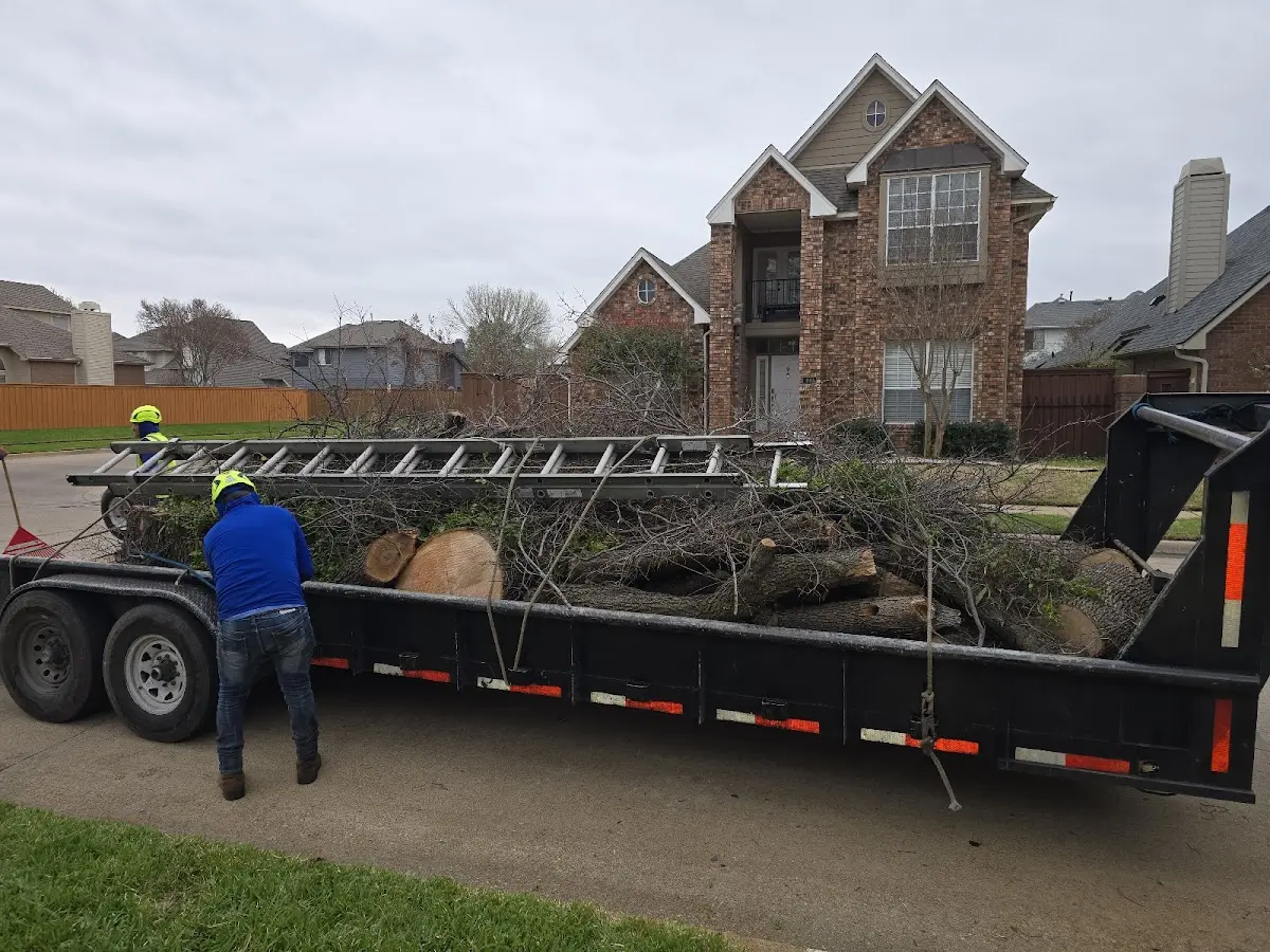 Expert Lot Clearing with proper safety equipment in Vadito